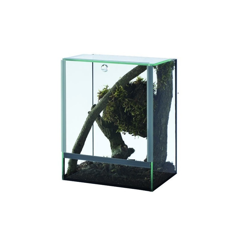 Terrarium en verre Terravie 15 x 15 x 20 cm Terrarium en verre Terravie 15 x 15 x 20 cm