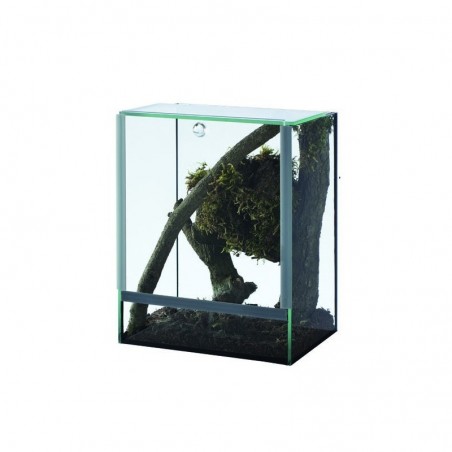 Terrarium en verre Terravie 15 x 15 x 20 cm