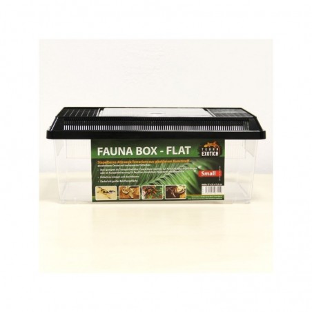 Fauna box plat 12 litres