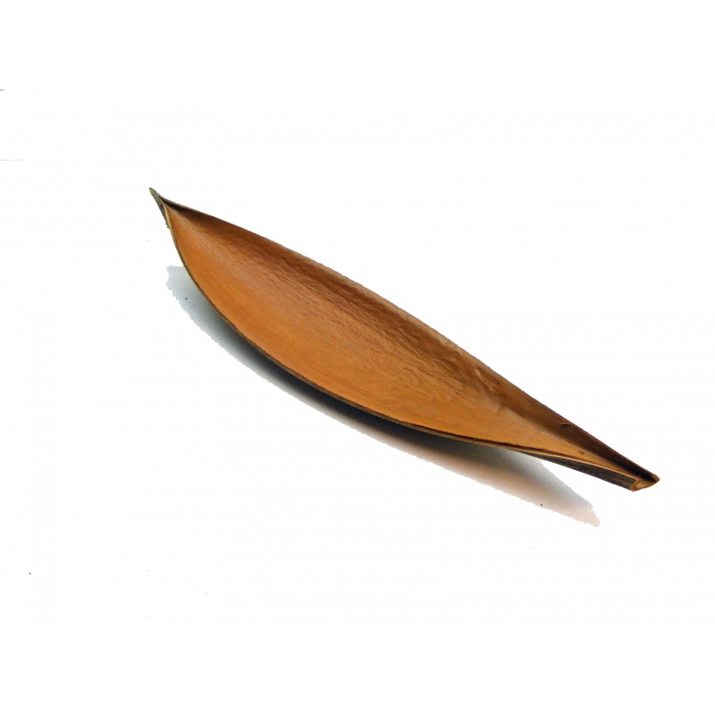 Feuille de coco bois 10/15 cm X 1 Feuille de coco bois 10/15 cm X 1